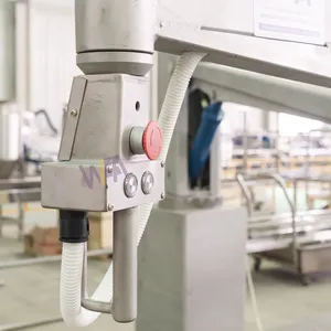 Project Hog Slaughter Line Hydraulic Carcass Mechanical Arm for Meat Processing Equipment thumbnail-3