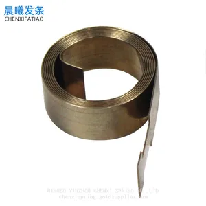 Stainless Steel Constant Force Spring for Boosters Fittings thumbnail-4