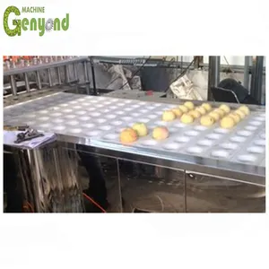 Shanghai Cherry Pitting Machine Plums Pitting Machine Fruit Seed Removing Machine thumbnail-3