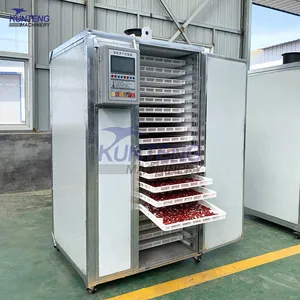 Dehydrated Pineapple Machine Fruit Dryer 220V Electric Heating Constant Temperature Drying Oven EPC thumbnail-2