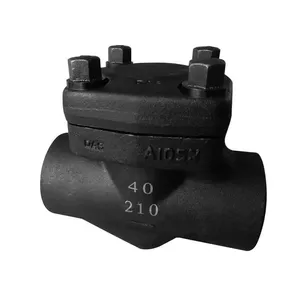 Manufacturer Direct Sales Threaded Check Valve Forged Steel Check Valve thumbnail-1