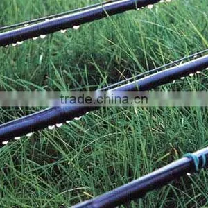 Hot Dipped Galvanized Agricultural Tunnel Greenhouse thumbnail-2