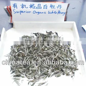China White Peony White Tea thumbnail-1