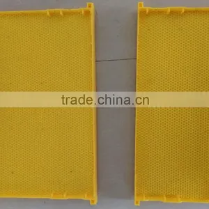 Plastic Bee Comb Foundation for Beekeeping thumbnail-1