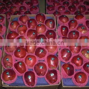 Fresh Red Apple thumbnail-1