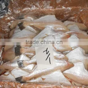 FROZEN LEATHER JACKET FISH thumbnail-2