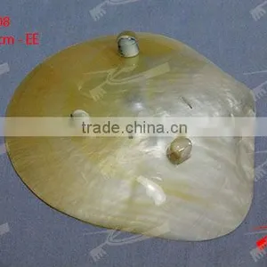 Shell / MOP Plate thumbnail-2