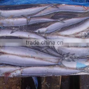 (Cololabis Sairs)frozen Whole Round Saury thumbnail-1