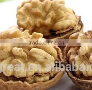 Supply With Chinese Whole Walnuts in Thin Shell With Different Sizes for Sales thumbnail-6