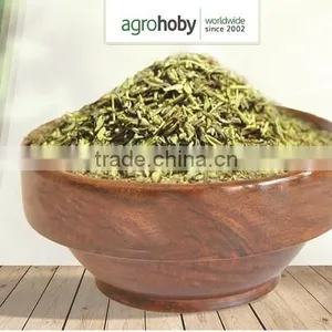 Turkish Rosemary Best Quality thumbnail-1