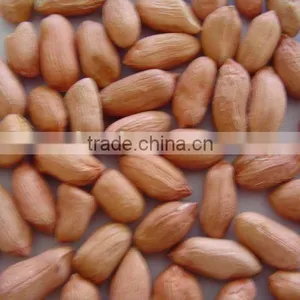 Peanut thumbnail-1
