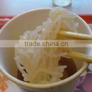 Gluten Free, Sugar Free, Fat Free, Nutritional Wholesale Konjac Angel Hair Noodles thumbnail-1