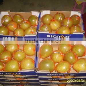 Pomelo Fruit for Pomelo Juice for Sale thumbnail-3