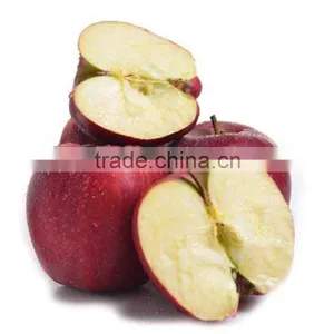 High Quality Delicious Huaniu Apple Fresh Apple for Sale With Reasonable Price thumbnail-5