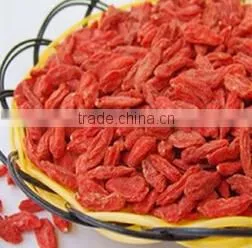 Red Goji Berry thumbnail-6
