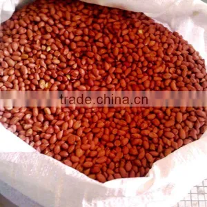 HIGH QUALITY GROUNDNUT KERNEL 40/50 thumbnail-2