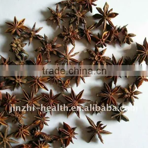 Organic Star Anise Seeds thumbnail-1