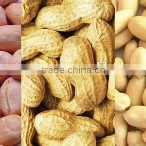 Best Peanuts With Top Grade From China thumbnail-2
