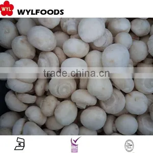 IQF China Price for Frozen Champignons Whole 2015 High Quality thumbnail-4