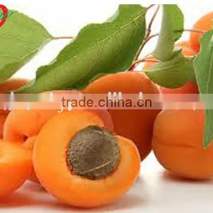 Cheap Canned Food,Canned Apricots Halves in Light Syrup With Private Brand thumbnail-1