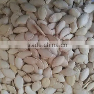 Wholesale Chinese White Pumpkin Seeds With High Quality thumbnail-2