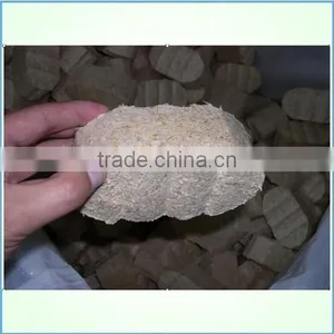 Great Hydraulic Biomass Brick Machine - to Make Efb Bricks in Good Quality for Fuel thumbnail-2