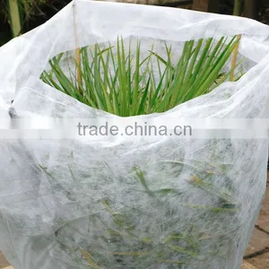 Spunbond Pp Agriculture Nonwoven Fabric Roll For Seeding Bag thumbnail-2