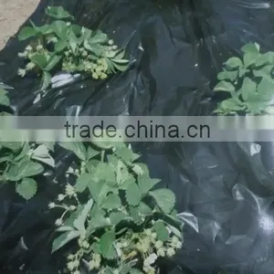 Agricultural Ground Cover Film thumbnail-1