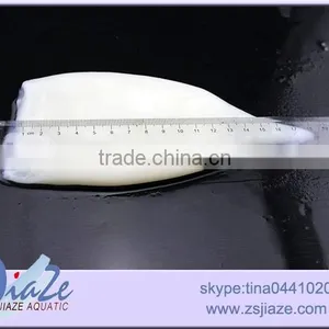 Seafood Squid Tube thumbnail-1