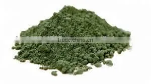 Spirulina Extract thumbnail-1