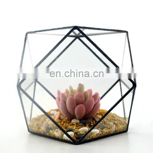 Terrarium Geometric Glass Terrarium Wholesale Square Shape thumbnail-2