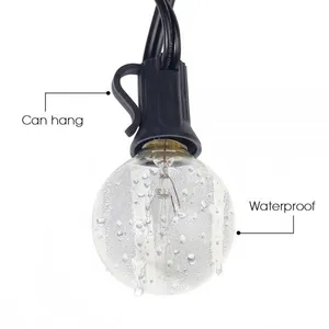 25Ft G40 Globe String Light 110/220V With 25 Clear Bulbs Waterproof Indoor/Outdoor Garden,Party,Wedding Holiday Light thumbnail-2