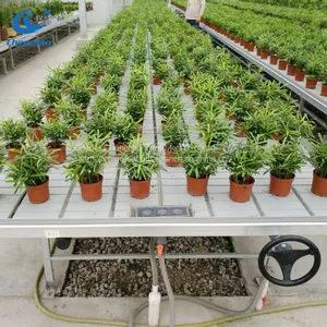 Greenhouse Rolling Bench Ebb and Flow Bench China Supplier Sale thumbnail-5