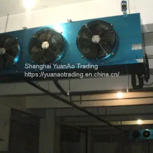 Shanghai Temperature Controlled Warehouse thumbnail-1