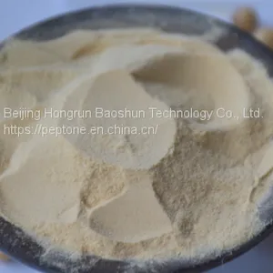 Soya Peptone thumbnail-1