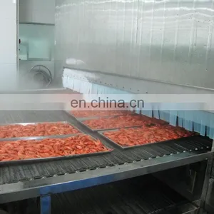 Food Quick Freezing Machine/iqf Tunnel Freezer thumbnail-1