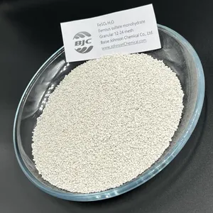 Factory Price Ferrous Sulphate Monohydrate Medium Granular for Fertiliser Additives thumbnail-1