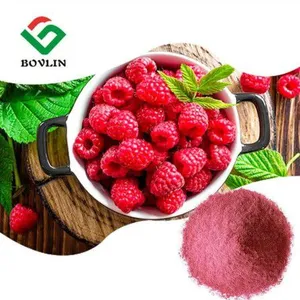 Organic Raspberry Powder thumbnail-1