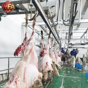 Sheep Slaughtering Equipment Goat Abattoir Machinery Lamb Slaughterhouse Line Mutton Processing Plant Factory Setup Price thumbnail-4