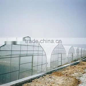Greenhouse Film thumbnail-2