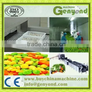 1500kg per Hour Iqf Tunnel Instant Freezer for Seafood thumbnail-1