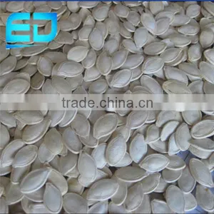 New Crop Shine Skin Pumpkin Seed for Sale thumbnail-1