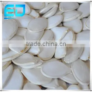 Original Raw Snow White Pumpkin Seeds, Wholesale Pumpkin Seeds thumbnail-1