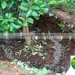 Organic Fertilizer thumbnail-1