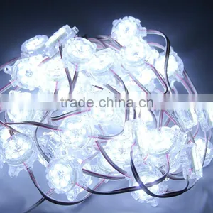 Single Color for Led Letter Advertising DC 12V Led Pixel String for Outdoor Using With High Illuminated thumbnail-5
