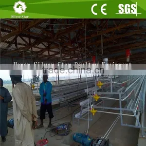 Agriculture Chicken Cage With Manure Removal Machines thumbnail-1