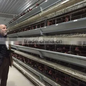 Long Lifespan Chicken Cage thumbnail-1