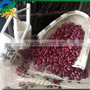 New Crop Dark Red Kidney Beans thumbnail-2
