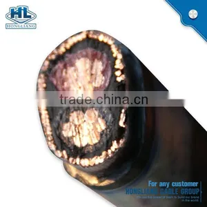 0.6/1kV 2x6AWG XLPE Insulated Copper Concentric Cable thumbnail-1