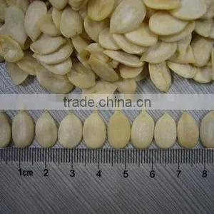 2015new Black Watermelon With Top Quality and Best Price thumbnail-2